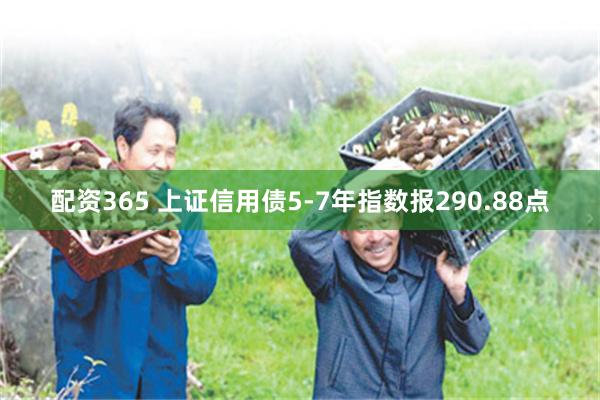 配资365 上证信用债5-7年指数报290.88点