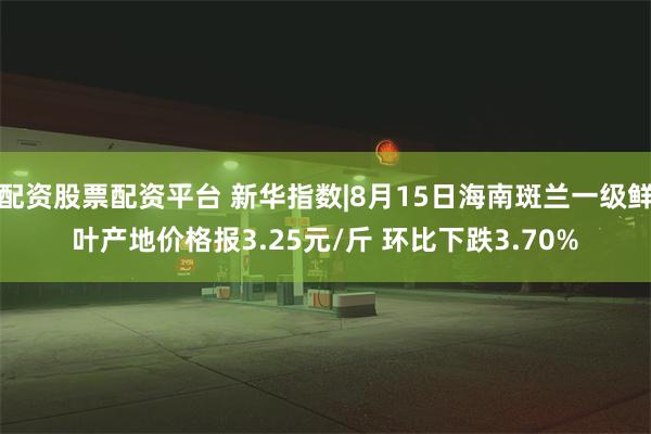 配资股票配资平台 新华指数|8月15日海南斑兰一级鲜叶产地价格报3.25元/斤 环比下跌3.70%