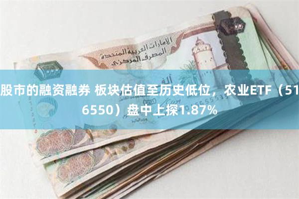 股市的融资融券 板块估值至历史低位，农业ETF（516550）盘中上探1.87%