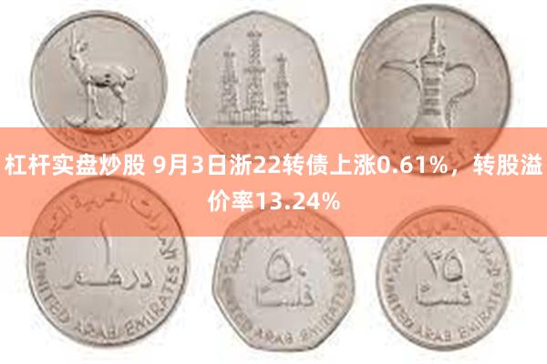 杠杆实盘炒股 9月3日浙22转债上涨0.61%，转股溢价率1