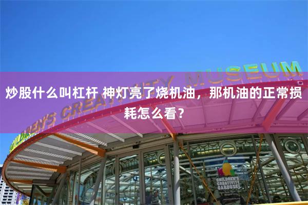 炒股什么叫杠杆 神灯亮了烧机油，那机油的正常损耗怎么看？