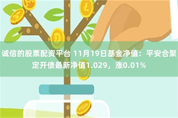 诚信的股票配资平台 11月19日基金净值：平安合聚定开债最新净值1.029，涨0.01%