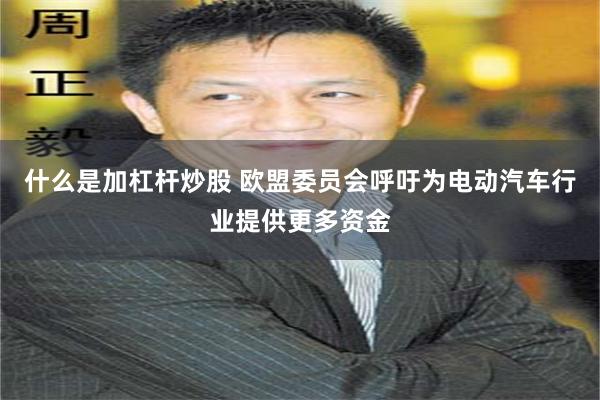 什么是加杠杆炒股 欧盟委员会呼吁为电动汽车行业提供更多资金