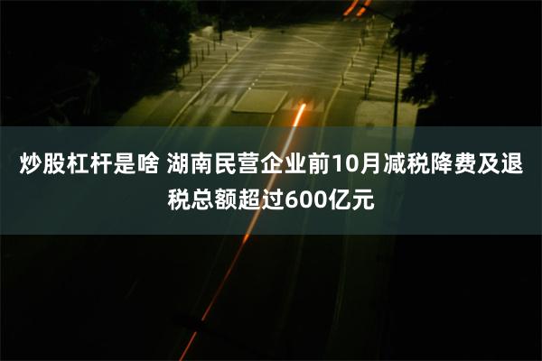 炒股杠杆是啥 湖南民营企业前10月减税降费及退税总额超过600亿元