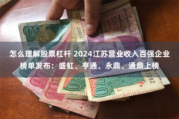 怎么理解股票杠杆 2024江苏营业收入百强企业榜单发布：盛虹