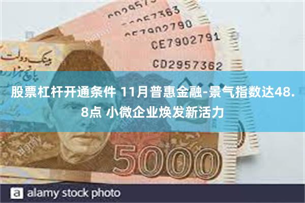 股票杠杆开通条件 11月普惠金融-景气指数达48.8点 小微