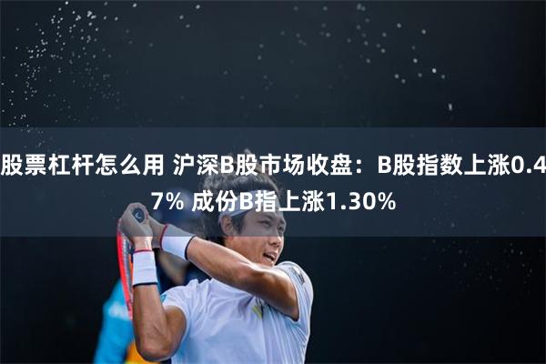 股票杠杆怎么用 沪深B股市场收盘：B股指数上涨0.47% 成