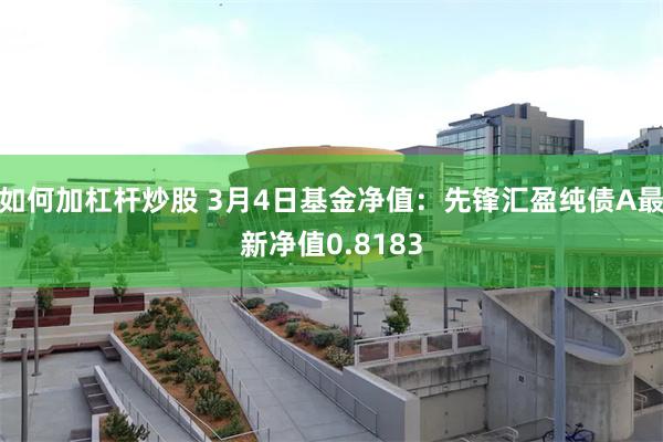 如何加杠杆炒股 3月4日基金净值：先锋汇盈纯债A最新净值0.8183